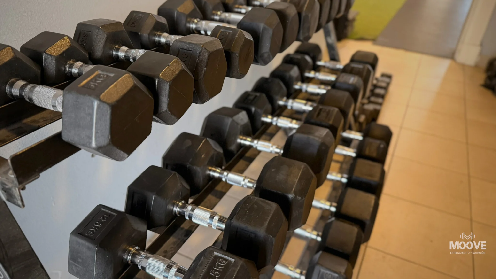 Área de ejercicios funcionales