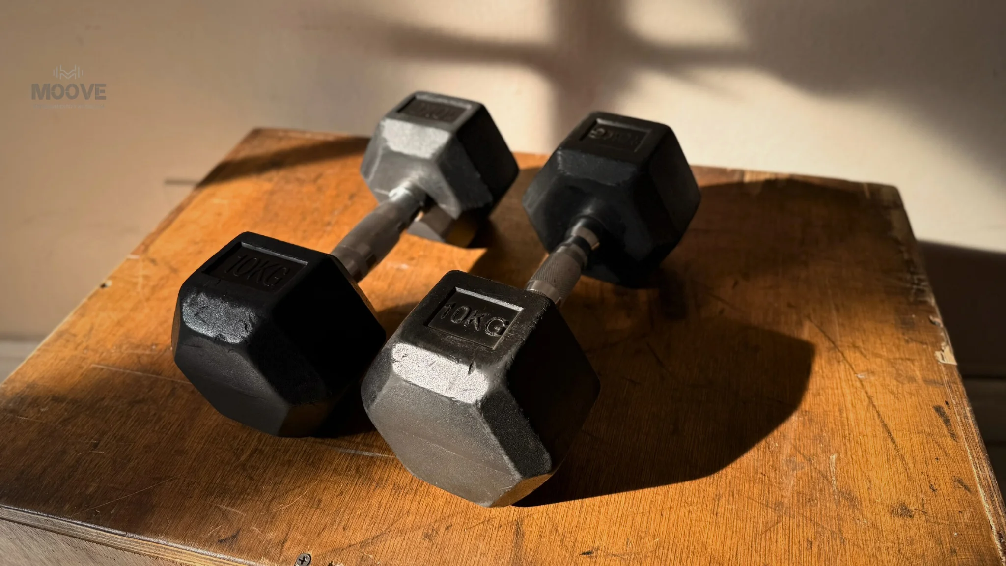 Zona de entrenamiento